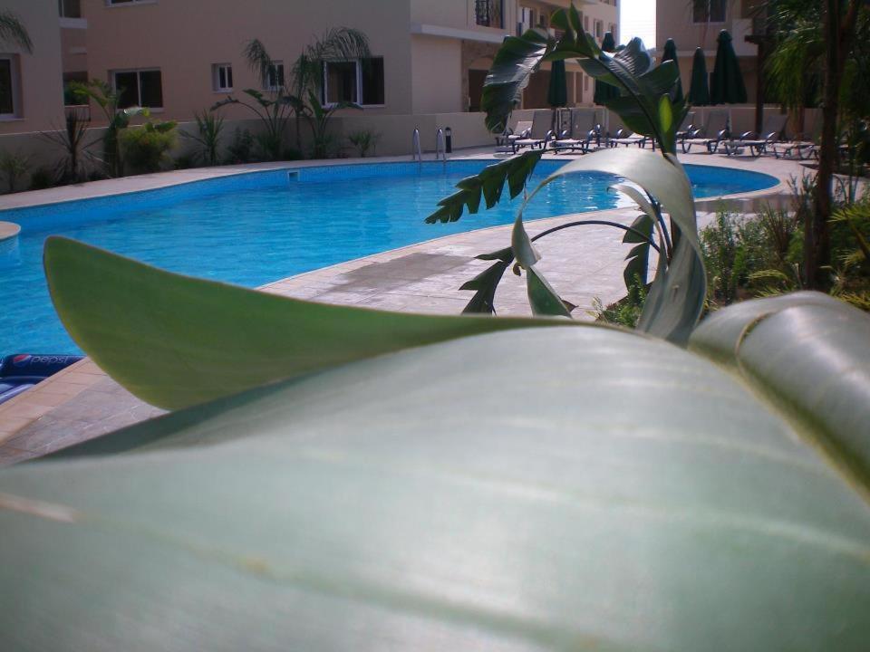 103 Elegant 2 Bed Apartment With Free Wifi, Ac, Pool & Gym! Larnaca Extérieur photo