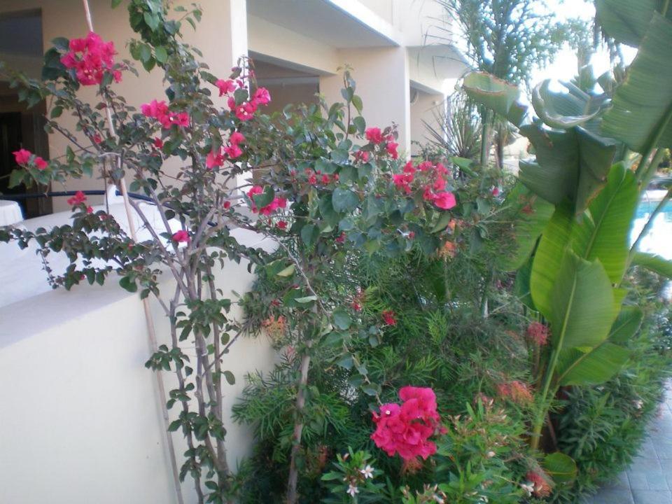 103 Elegant 2 Bed Apartment With Free Wifi, Ac, Pool & Gym! Larnaca Extérieur photo